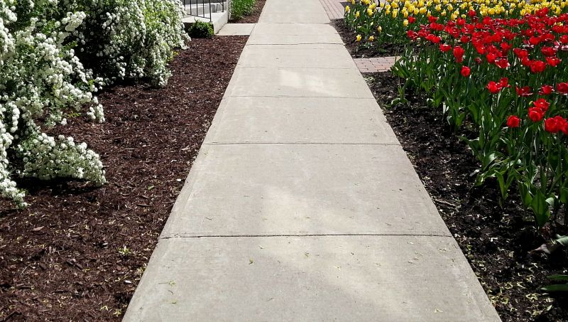 Stone Pathway Repair