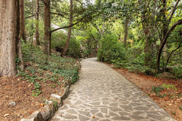 Stone Walkway Repair in Hayward