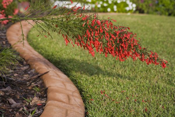 Brick Edging in Hayward