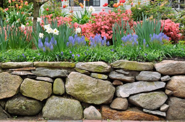 Stone Wall Hardscaping in Hayward