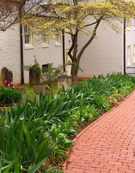 Brick Flatwork Repair in Hayward